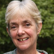 Dr Sally Davies